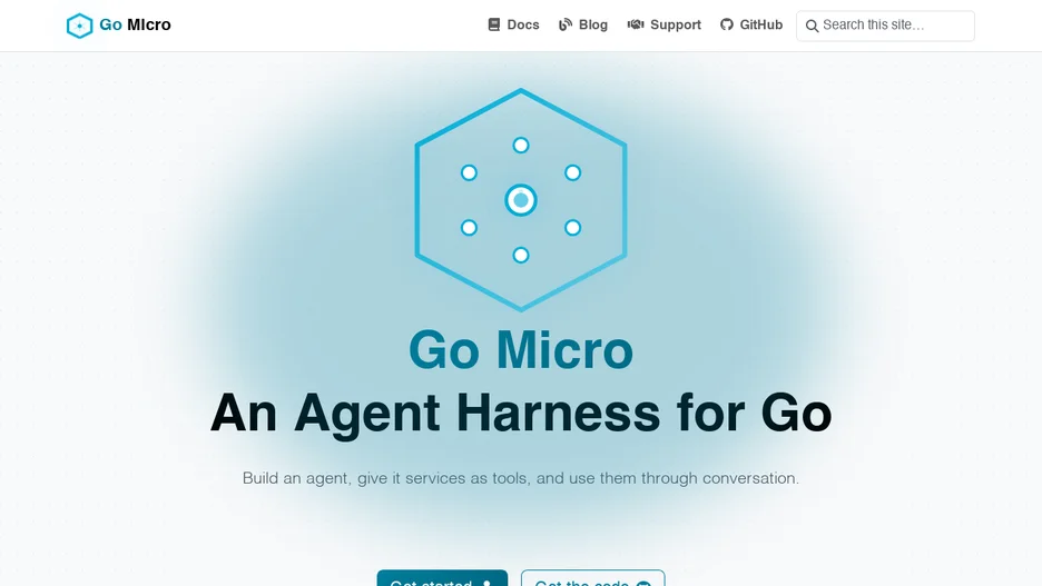 Go Micro