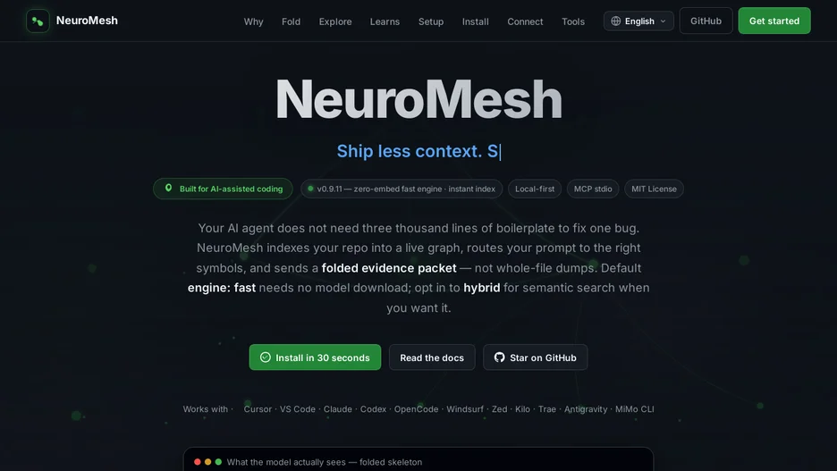NeuroMesh